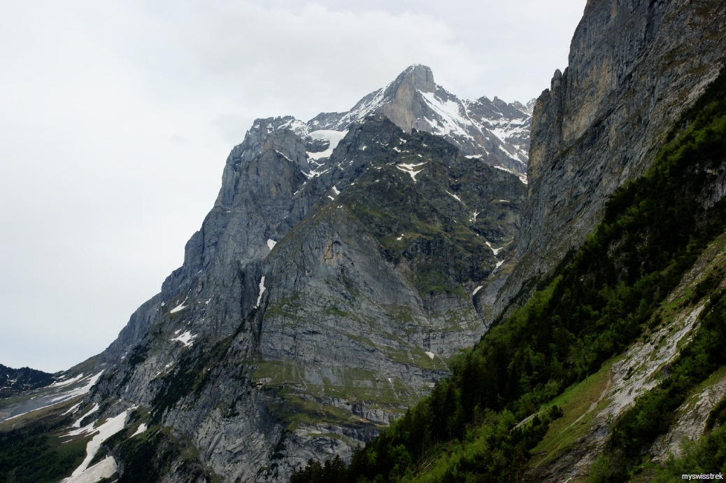 Wetterhorn - Gipfel bei Grindelwald