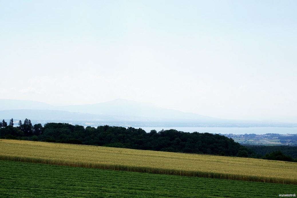 Tour Jura S&uuml;dfuss