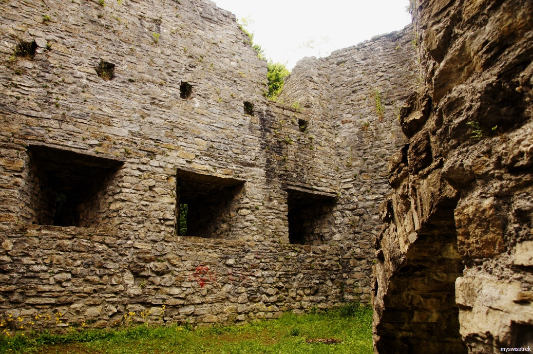 Ruine Greifenstein