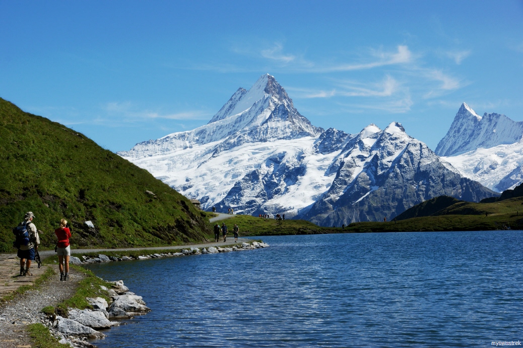 Wandern Schynige Platte - bei Grindelwald