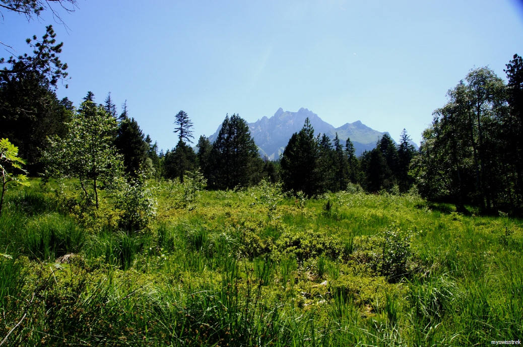Bergtour Lauelenegg - bei Luzern