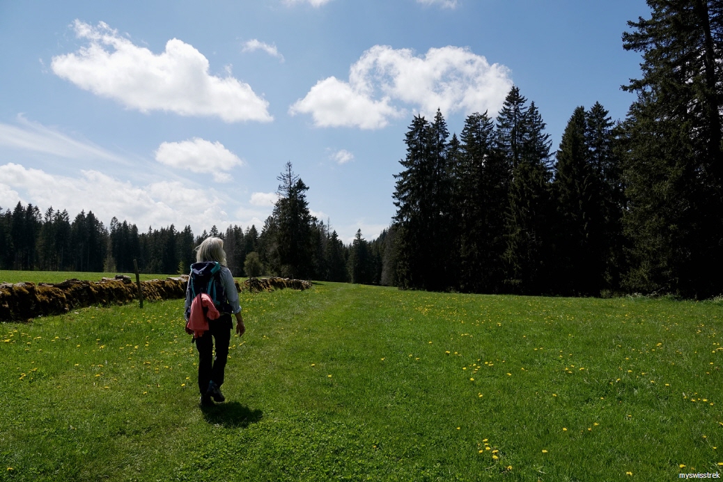 Bergtour-Etang-de-la-Gruere