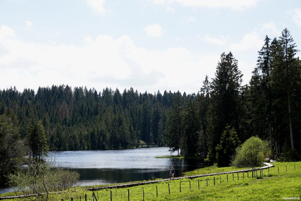 W13-12-Wandern-Etang-de-la-Gruere