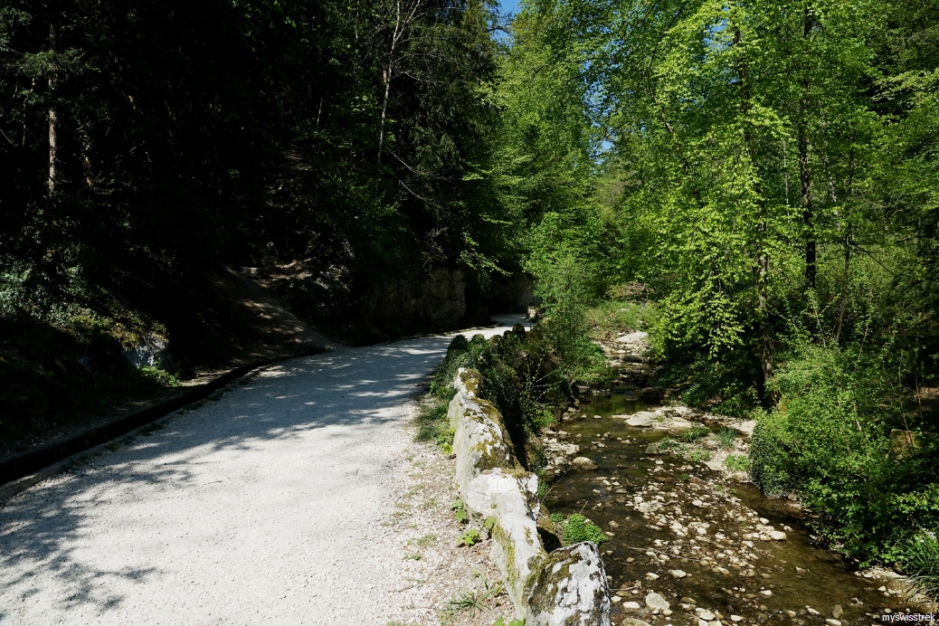 W13-13-Wandern-Chasseral