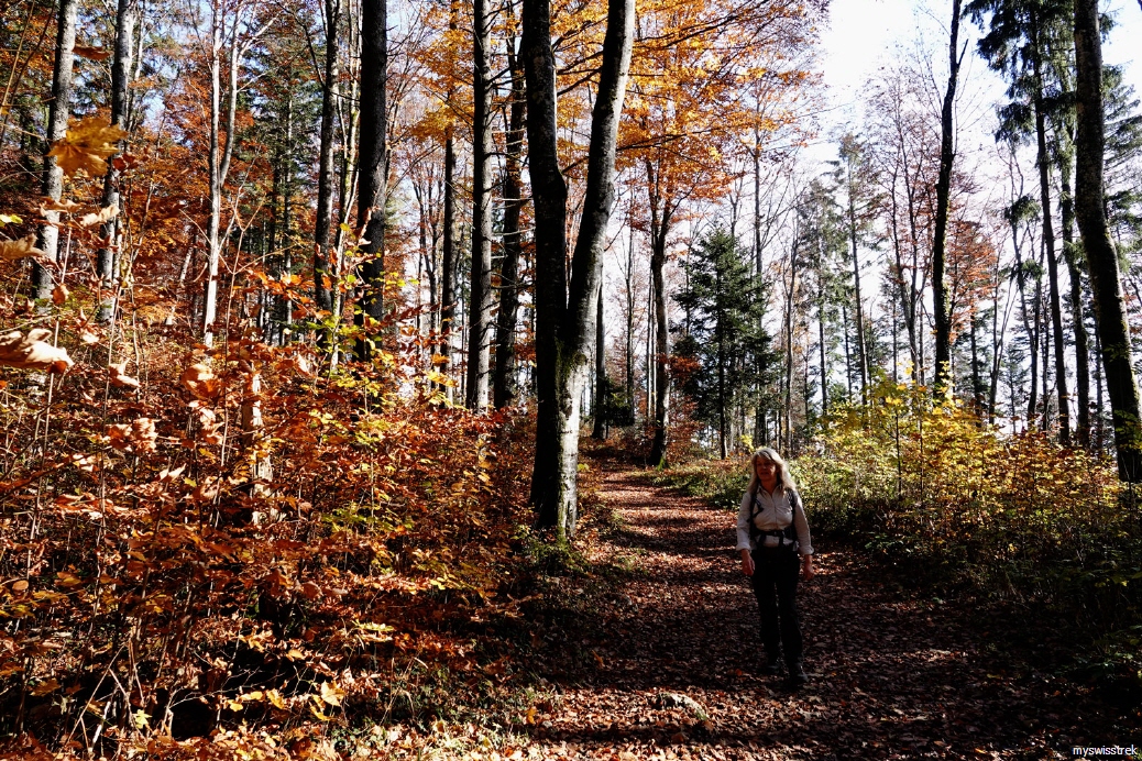 Bergtour-Twannbachschlucht