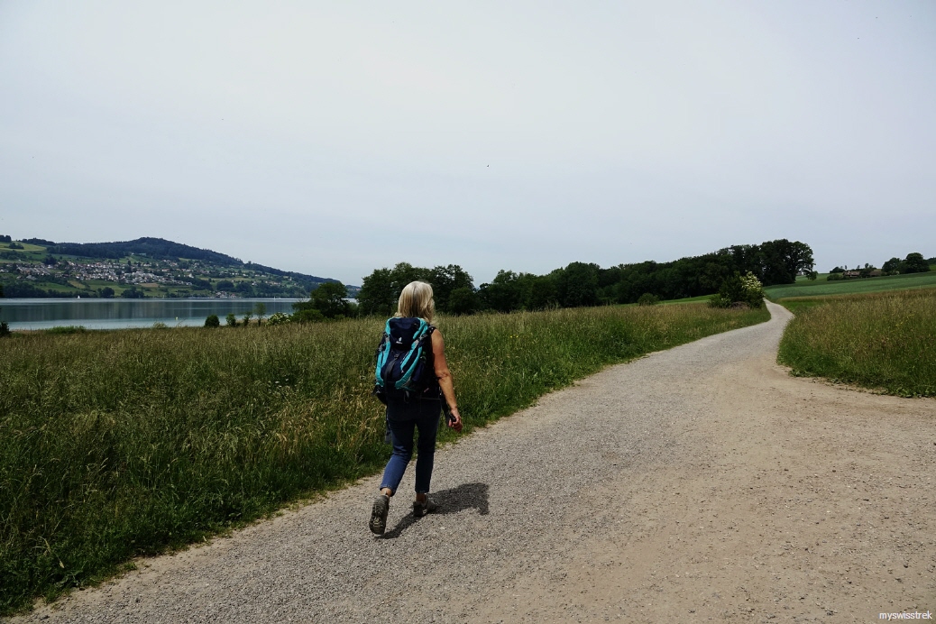 Wandern-Hallwilersee