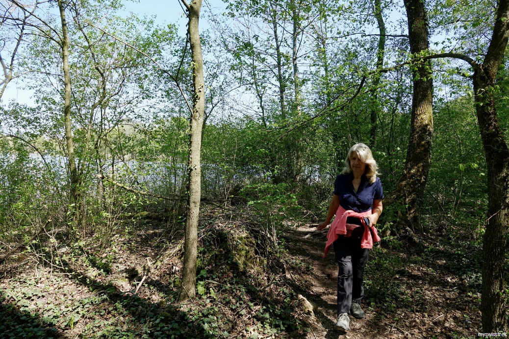 Bergtour-Burgäschisee