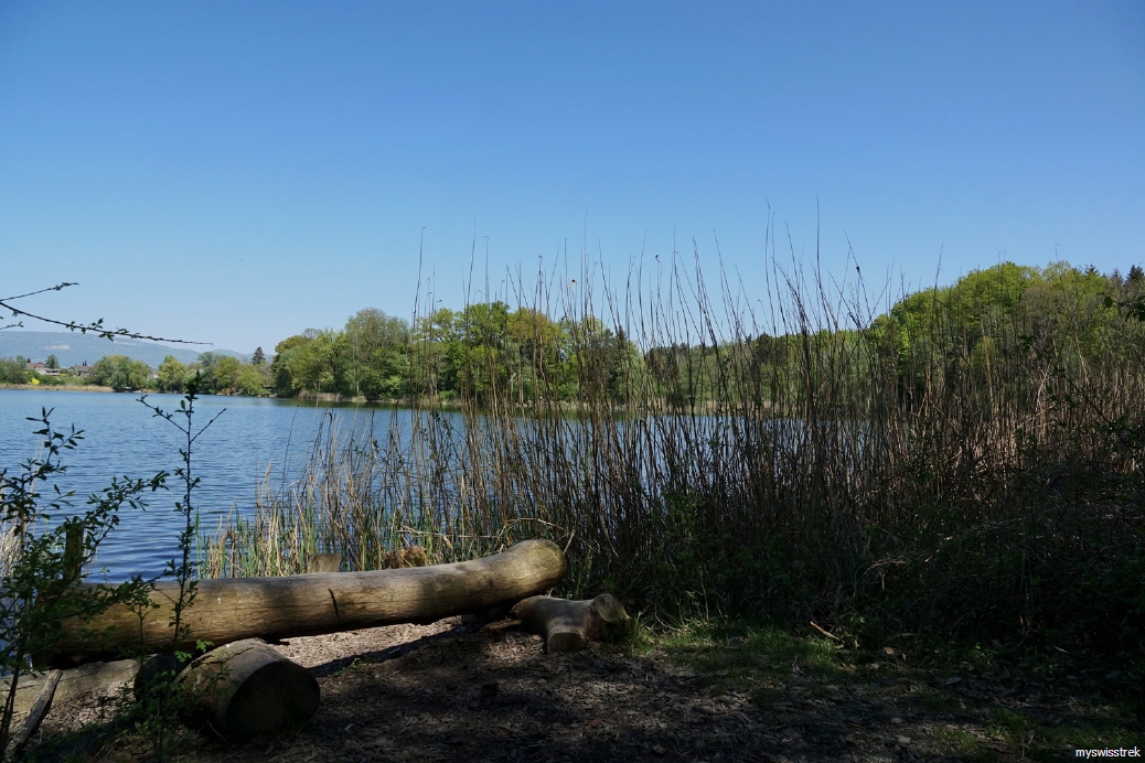 Wandern-Burgäschisee