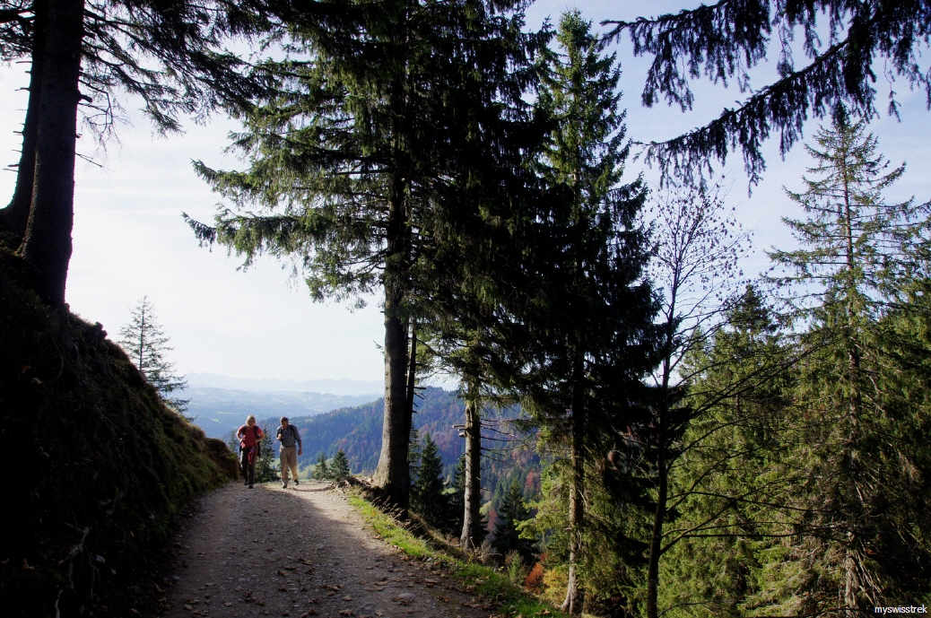 Wandern-Napf