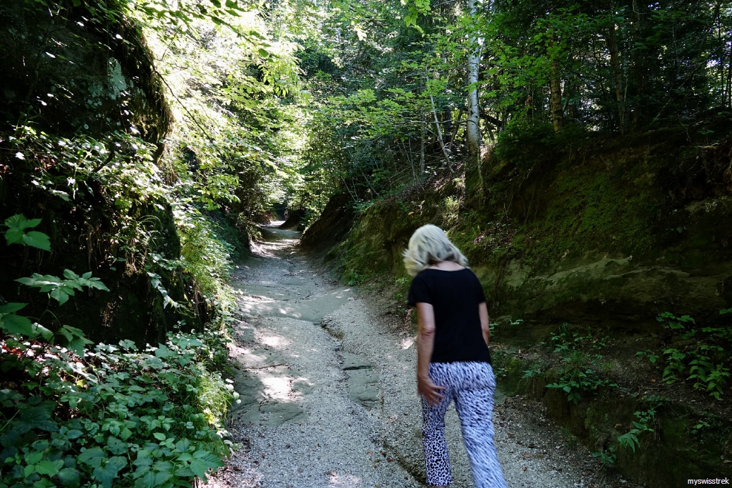 Wandern-Tufstein-Ruine-Grasburg